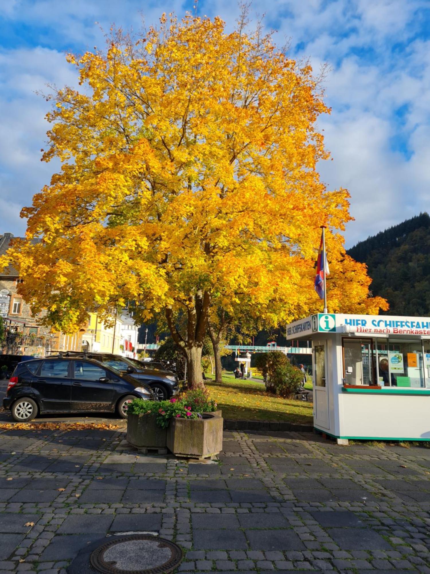 Ferienhaus Take It Easy Villa Traben-Trarbach Exterior foto